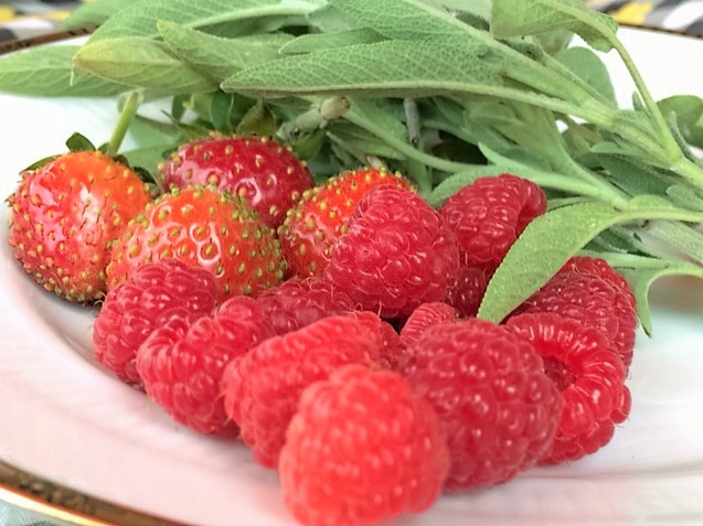 Himbeeren Erdbeeren Salbei Hausfrauenmethode
