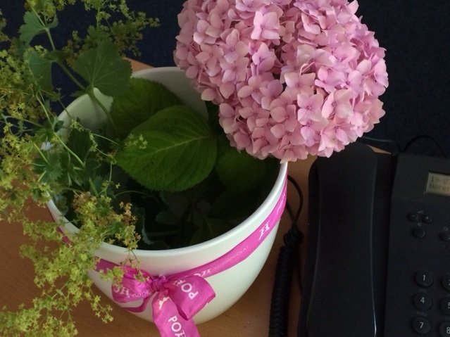 Hortensie im Büro