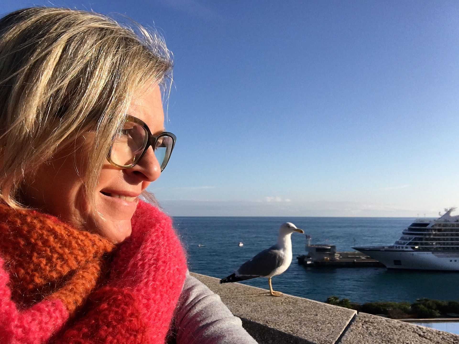 Möwe und ich mit Viking Sky